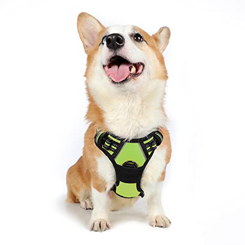 Book Cover rabbitgoo Dog Harness, No-Pull Pet Harness with 2 Leash Clips, Adjustable Soft Padded Dog Vest, Reflective No-Choke Pet Oxford Vest with Easy Control Handle for Medium Dogs, Green, M