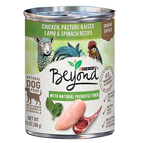 Book Cover Purina Beyond Grain Free, Natural Ground Entree Wet Dog Food, Grain Free Chicken, Lamb & Spinach Recipe - (12) 13 oz. Cans