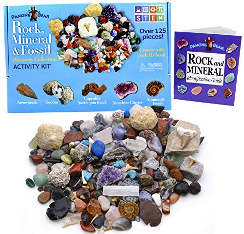 Book Cover Rock, Mineral & Fossil Collection Activity Kit (125+ pcs and NO Gravel) with 2 Geodes, Ammonite, Shark Tooth in Matrix, Fossilized Poo, Arrowheads, Plus ID Sheet & Rock Book, STEM Science Education