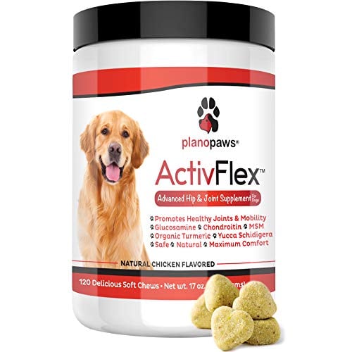 Book Cover ActivFlex - Glucosamine for Dogs - Safe Hip and Joint Supplement - Natural Dog Joint Support - Arthritis Pain Relief - Chondroitin Turmeric MSM - Improves Mobility & Hip Dysplasia - 120 Chew Treats