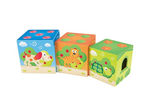 Book Cover Hape Deluxe 9-Piece Playful Friends Nesting and Stacking Toy Blocks