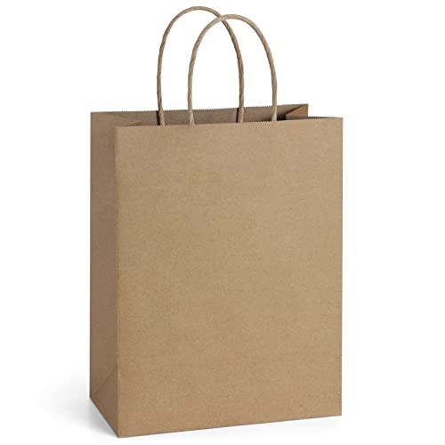 Book Cover BagDream Gift Bags 8x4.25x10.5 25Pcs Kraft Paper Bags, Shopping Bags, Merchandise Retail Grocery Bags, Brown Paper Gift Bags Bulk with Handles 100% Recyclable Paper Bags Sacks