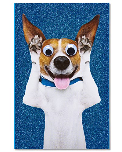 Book Cover American Greetings Funny Birthday Card (Dog)
