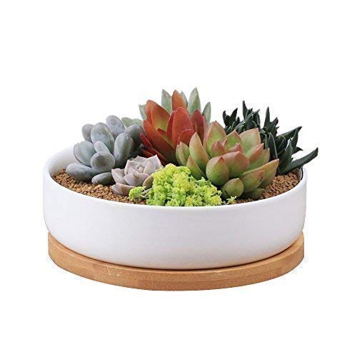Book Cover Binwen 6.3 inch Round Ceramic White Succulent Cactus Planters Pots with Drainage Bamboo Trays - Plants Not Included