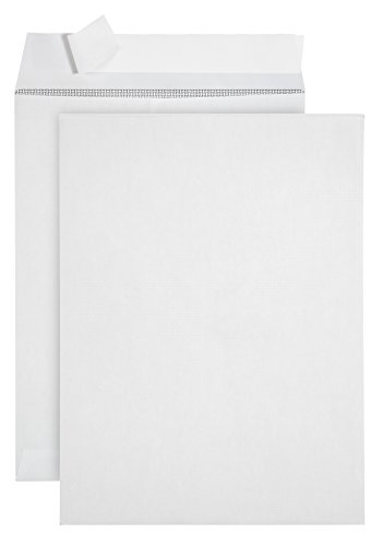 Book Cover 100 9 X 12 Self Seal Security Catalog Envelopes - Designed for Secure Mailing - Securely Holds up to 60 Sheets of Paper with Strong Peel and Seal Flap (100 Envelopes)