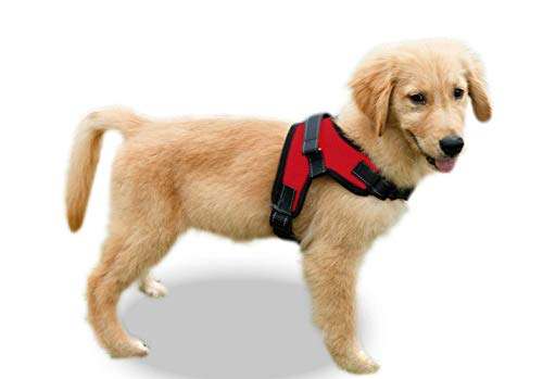 Book Cover Copatchy No Pull Reflective Dog Harness (Small, red)