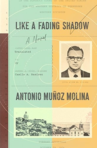 Book Cover Like a Fading Shadow: A Novel
