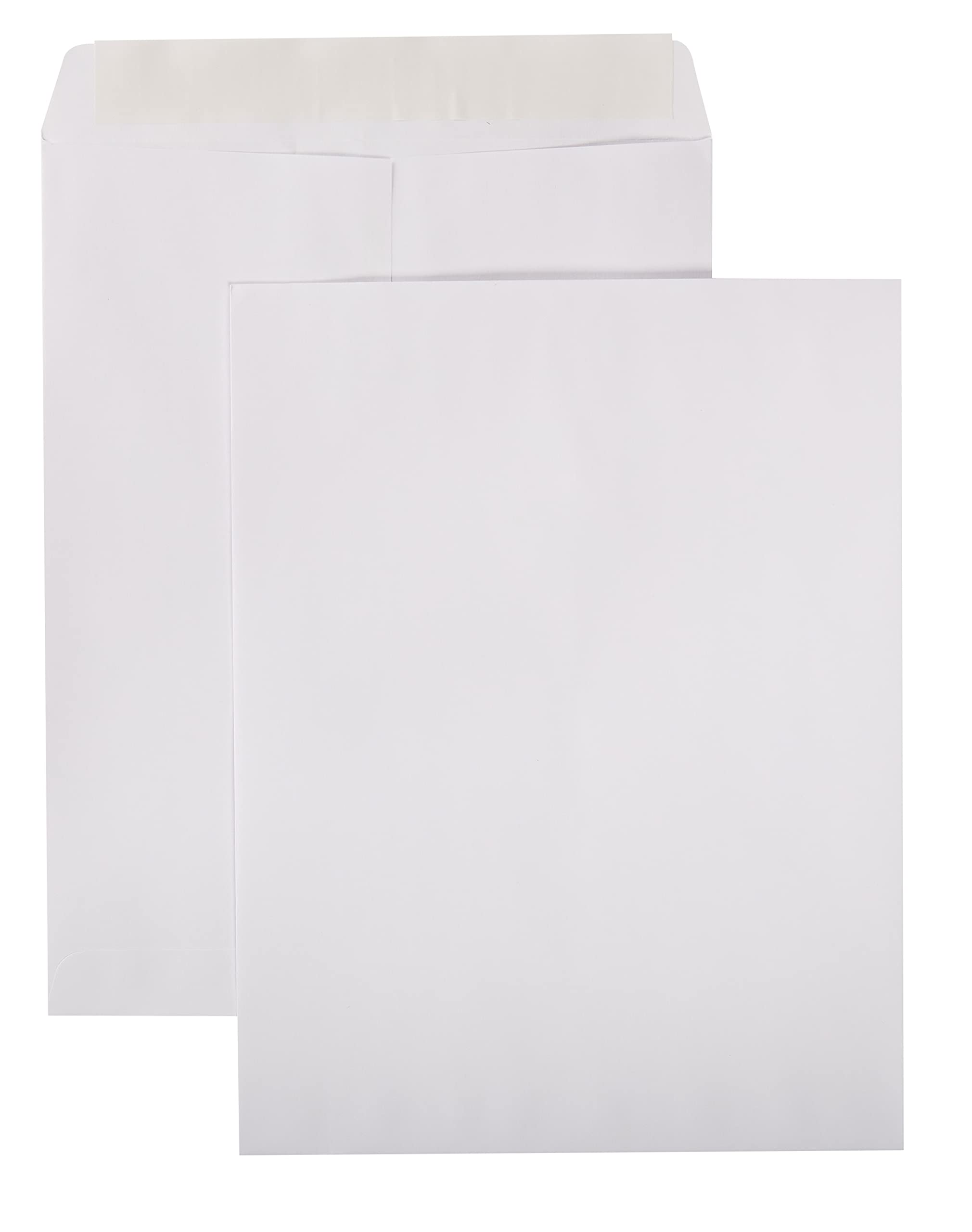 Book Cover Amazon Basics Catalog Mailing Envelopes, Peel & Seal, 10x13 Inch, White, 100-Pack 100-Pack 10 x 13 Envelopes