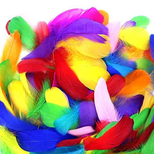 Book Cover Coceca 300pcs 3-5 Inches Colorful Feathers for DIY Craft Wedding Home Party Decorations