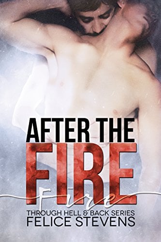 Book Cover After the Fire (Through Hell and Back Book 2)