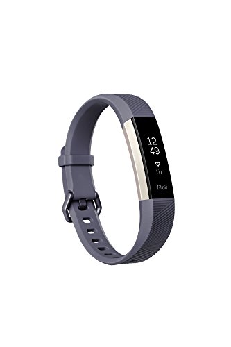 Book Cover Fitbit Alta HR, Blue/Gray, Large (US Version)