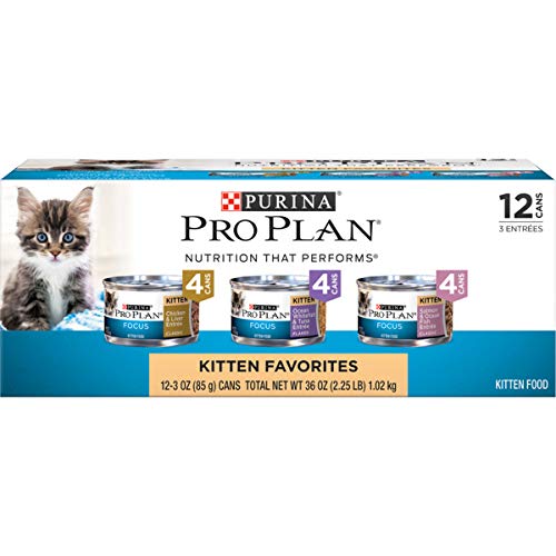 Book Cover Purina Pro Plan Wet Kitten Food Variety Pack, FOCUS Kitten Favorites - (2 Packs of 12) 3 oz. Cans