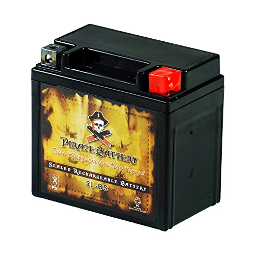 Book Cover Pirate Battery YTX5L-BS Maintenance Free Replacement Battery for ATV, Motorcycle, and Scooter: 12 Volts.5 Amps, 4Ah, Nut and Bolt (T3) Terminal