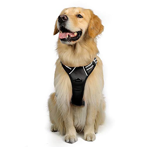 Book Cover Rabbitgoo Front Range Dog Harness No-Pull Pet Harness Adjustable Outdoor Pet Vest 3M Reflective Oxford Material Vest for Dogs Easy Control for Small Medium Large Dogs (Black, XL)