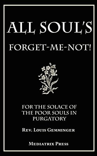Book Cover All Souls' Forget-Me-Not: For the Solace of the Poor Soul's in Purgatory