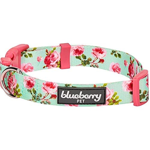 Book Cover Blueberry Pet Spring Scent Inspired Floral Rose Print Turquoise Dog Collar, Small, Neck 30cm-40cm, Adjustable Collars for Dogs