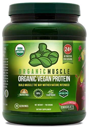 Book Cover Organic Vegan Protein Powder - Great Tasting Chocolate Flavor W/ 24g of Protein -100% Organic Plant Based Protein Blend of Pea, Hemp, Rice Protein +Chia, Flax Seed, More -760g