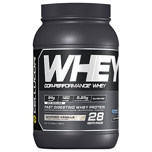 Book Cover Cellucor Whey Protein Isolate & Concentrate Blend Powder with BCAA, Post Workout Recovery Drink, Gluten Free Low Carb Low Fat, Whipped Vanilla, 28 Servings