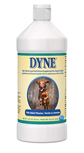 Book Cover Dyne High Calorie / Weight Gainer Liquid for Dogs, 16 oz