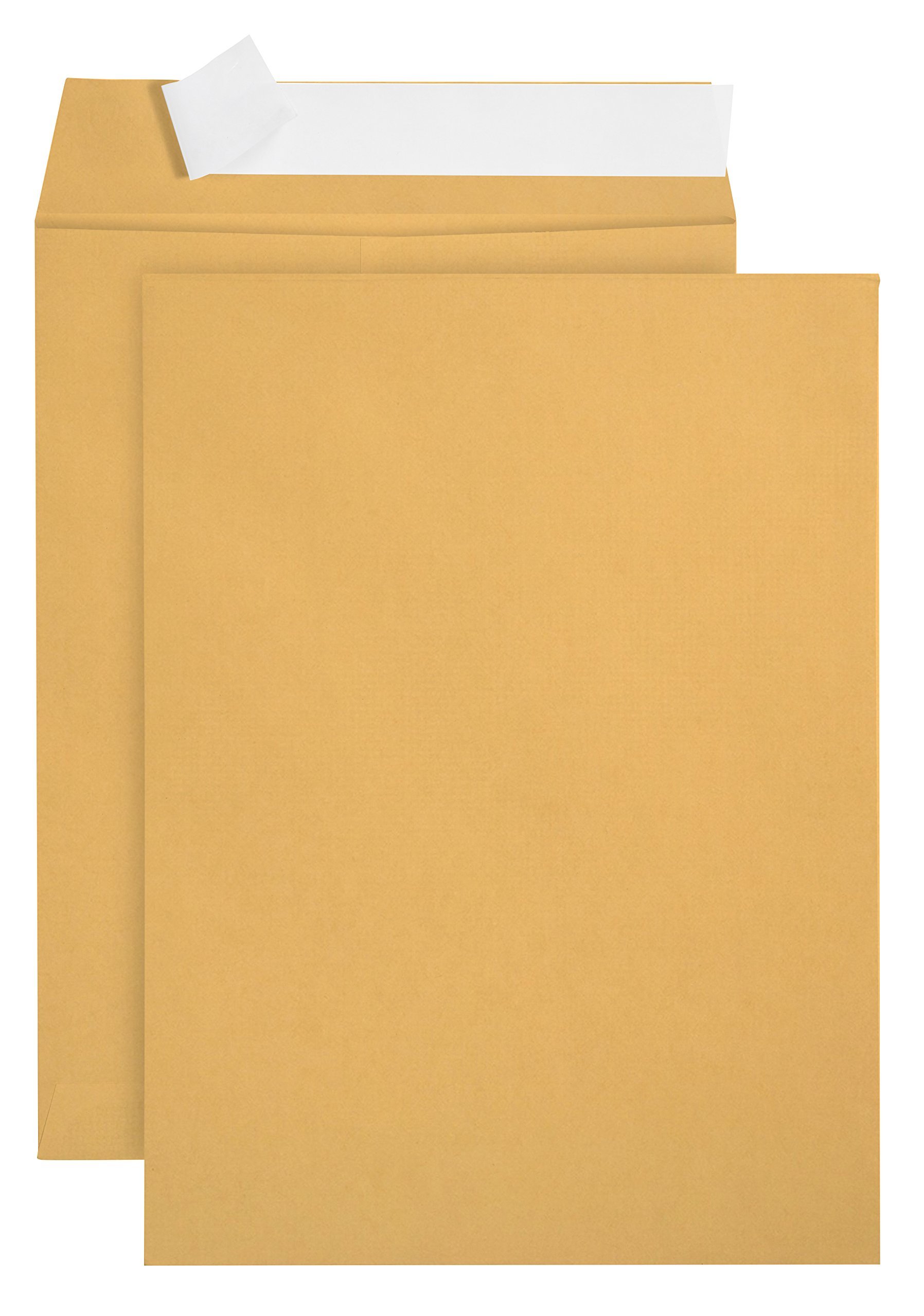 Book Cover 100 9 X 12 Self Seal Golden Brown Kraft Catalog Envelopes - Designed for Secure Mailing - Oversize Strong Peel and Seal Flap with 28 Pound Kraft Paper- 100 Envelopes