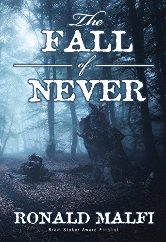 Book Cover The Fall of Never