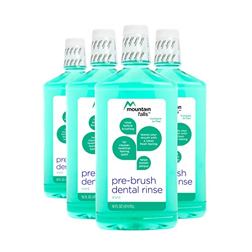 Book Cover Mountain Falls Pre-Brush Dental Rinse, Mint, 16 Fluid Ounce (Pack of 4)