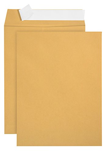 Book Cover 100 6 x 9 Self Seal Golden Brown Kraft Catalog Envelopes - Oversize 6 x 9 Envelope Peel and Seal Flap with 28 Pound Kraft Paper Envelopes - Printer Friendly Design - 100 Count