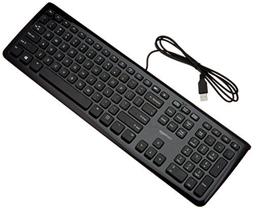 Book Cover AmazonBasics Wired PC Computer Keyboard, 10-Pack