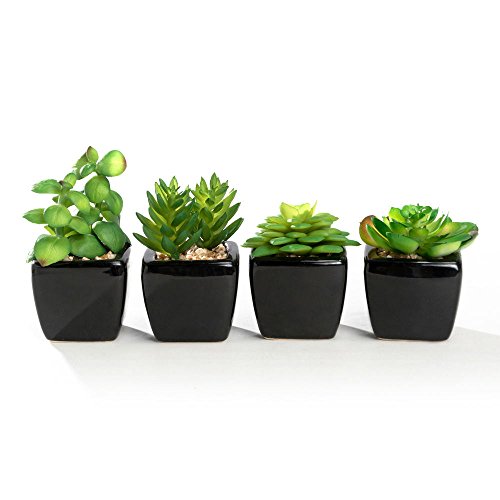 Book Cover Nattol Modern Mini Artificial Succulent Plants Potted in Cube-Shape Black Ceramic Pots for Home Decor, Set of 4