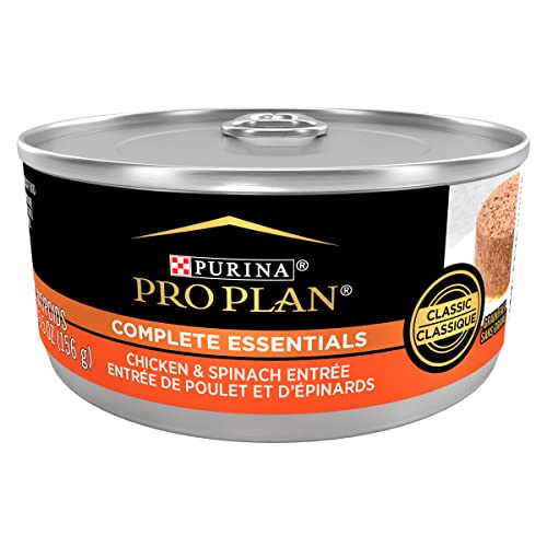 Book Cover Purina pro plan Grain Free Pate Wet Cat Food, Complete Essentials Chicken and Spinach Entree Classic - 5.5 oz. Can