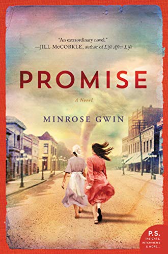 Book Cover Promise: A Novel