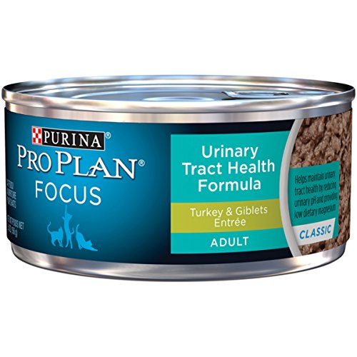 Book Cover Purina Pro Plan Urinary Tract Health Pate Wet Cat Food, FOCUS Urinary Tract Health Formula Turkey & Giblets Entree - (24) 5.5 oz. Cans