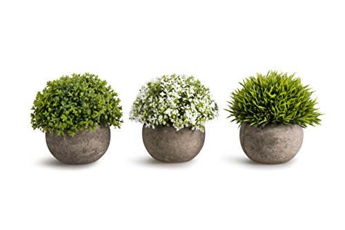 Book Cover Opps Artificial Plastic Mini Plants Unique Fake Fresh Green Grass Flower in Gray Pot for Home Décor - Set of 3