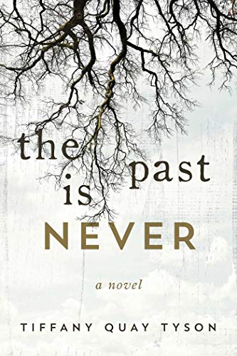 Book Cover The Past Is Never: A Novel