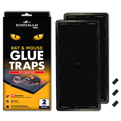 Book Cover Kingman Prime Rat Mouse Rodent Pest Glue Trap (Large Size) Tray Heavy Duty (10 Traps) with Connectors