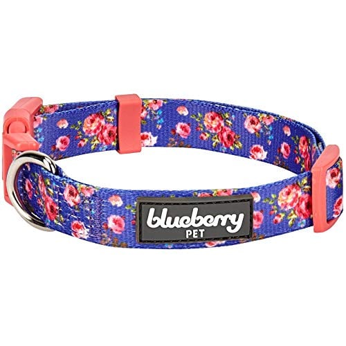 Book Cover Blueberry Pet 7 Patterns Spring Scent Inspired Rose Print Irish Blue Adjustable Dog Collar, Small, Neck 12