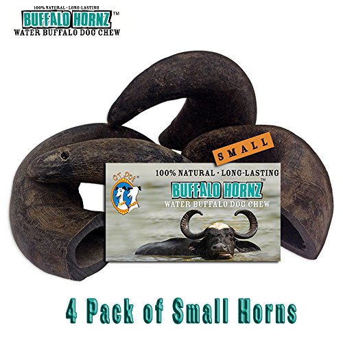 Book Cover 4 Pack of Buffalo Hornz Small Long Lasting 100% Natural Water Buffalo Horn Dog Chews