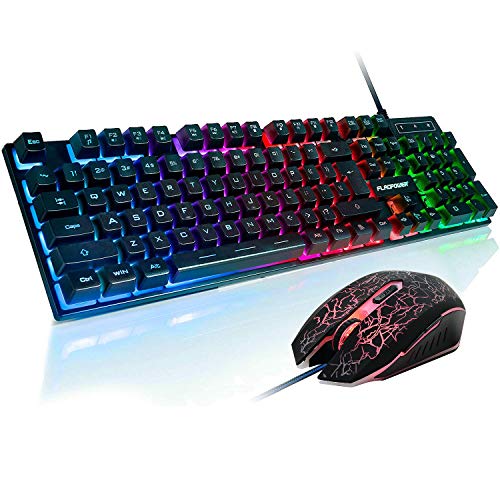 Book Cover FLAGPOWER RGB Gaming Keyboard and Breathing Mouse Combo, Adjutable Breathing Backlit Mechanical Feeling Keyboard with 4 Colors 4800DPI Backlight Mouse for PC Laptop Computer Game and Work