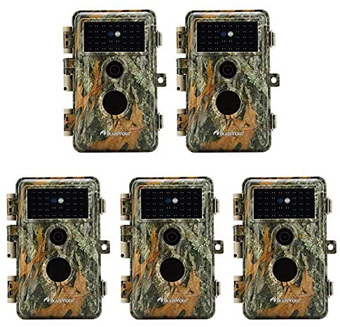 Book Cover BlazeVideo 5X 16MP No Glow Infrared Wildlife Animals Video Cameras, Camo Game Trail Hunting Cam Motion Sensor Activated Waterproof with Night Vision 40pcs IR LED & PIR, Take Picture, 2.36