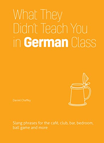Book Cover What They Didn't Teach You in German Class: Slang Phrases for the CafÃ©, Club, Bar, Bedroom, Ball Game and More (Dirty Everyday Slang)