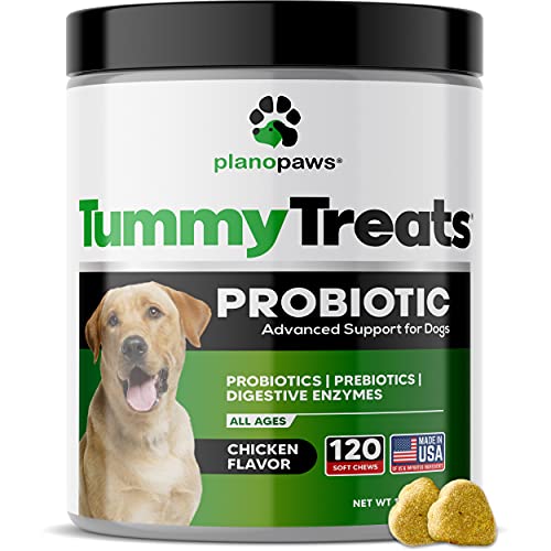 Book Cover Probiotics for Dogs Digestive Health - Dog Probiotics and Digestive Enzymes - Allergy Relief for Dogs - Probiotic for Dogs Gut Health - Puppy Probiotic Tummy Treats - 120 Dog Probiotic Chews