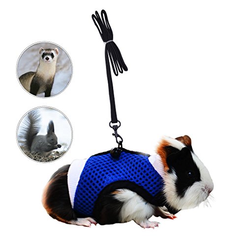 Book Cover Soft Mesh Small Pet Harness with Safe Bell, No Pull Comfort Padded Vest Durable Nylon Guinea Pig Harness and Leash Set Adjustable All Season for Rats, Iguana, Hamster, Bearded Dragon