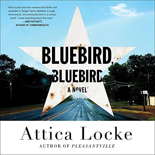 Book Cover Bluebird, Bluebird
