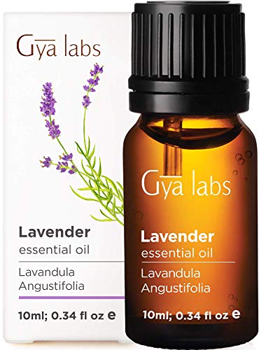Book Cover Gya Labs Lavender Essential Oil for Stress Relief, Good Sleep & Relaxation - Topical Use for Acne Treatment, Dry Skin & Pain Relief - 100% Pure Therapeutic Grade Lavender Oil - 10ml