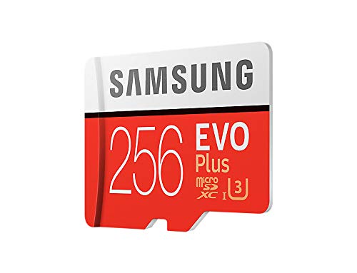 Book Cover Samsung MC256GA/APC 256GB Evo Plus Class 10 UHS-I microSDXC U3 with Adapter