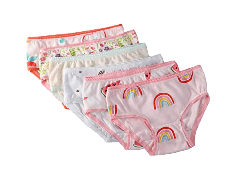 Book Cover ESHOO Kids Baby Girls Cute Underwear Briefs Knickers 0-12 Years (6 Pack Randomly Sent)