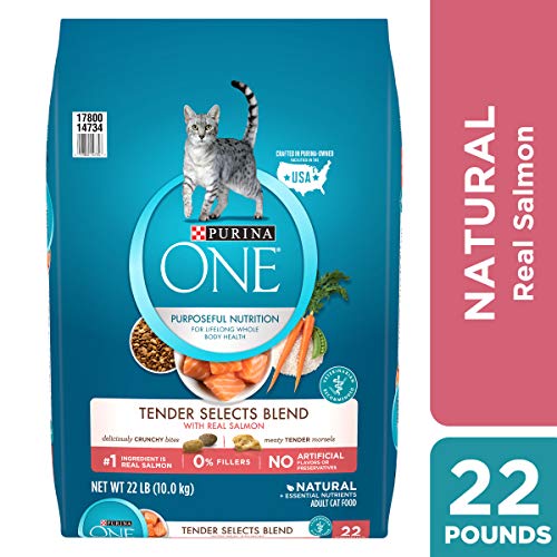 Book Cover Purina ONE Natural Dry Cat Food, Tender Selects Blend With Real Salmon - 22 lb. Bag