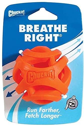 Book Cover (2 Pack) Chuckit! Breathe Right Fetch Ball (Medium)