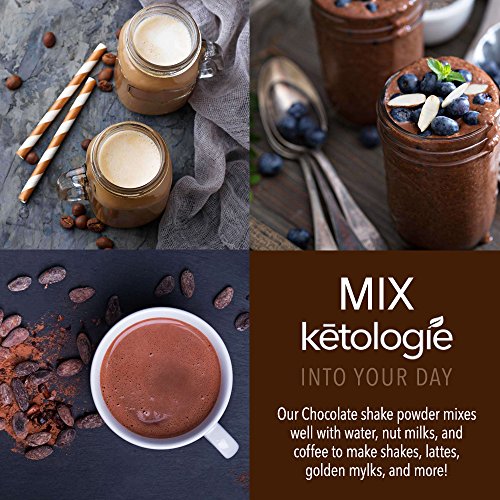Book Cover Ketologie Ultra Low Carb Protein Shake, High-Fat Keto Meal Replacement (Chocolate)