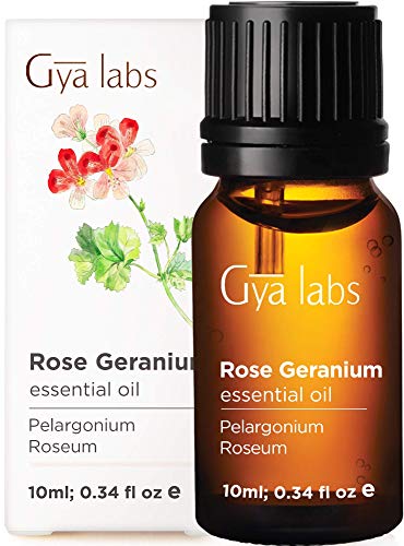 Book Cover Gya Labs Rose Geranium Essential Oil for Skin Care, Stress Relief and Relaxation - Topical for Dry Skin, Uneven Skin, Protect Pets -100 Pure Therapeutic Grade Rose Geranium Oil for Aromatherapy -10ml